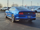 Thumbnail image of 2017 Ford Mustang at Serra Buick Gmc Champaign