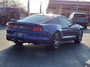 Thumbnail image of 2017 Ford Mustang at Serra Buick Gmc Champaign