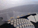 Thumbnail image of 2012 Ford F-150 at Rick Ford Sales, Inc.
