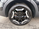 Thumbnail image of 2023 Kia Telluride at Northtown Lexus