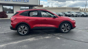 Thumbnail image of 2022 Ford Escape at Maritime Ford-Lincoln