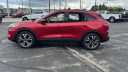 Thumbnail image of 2022 Ford Escape at Maritime Ford-Lincoln
