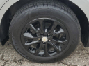 Thumbnail image of 2019 Chevrolet Equinox at LaFontaine Infiniti of Ann Arbor