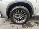 Thumbnail image of 2025 Lexus NX 350 at Northtown Lexus
