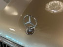 Thumbnail image of 2023 Mercedes-Benz GLS at Cape Coral Chrysler Dodge Jeep Ram