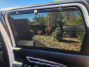 Thumbnail image of 2023 Kia Telluride at Northtowne Auto Group