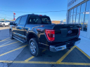 Thumbnail image of 2023 Ford F-150 at Fredonia Ford