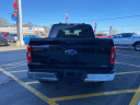 Thumbnail image of 2023 Ford F-150 at Fredonia Ford