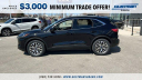 Thumbnail image of 2022 Ford Escape at Gustman Subaru