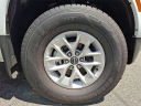Thumbnail image of 2024 Nissan Frontier at Lynnes Nissan City Inc
