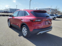 Thumbnail image of 2023 Ford Escape at Magic City Auto Group
