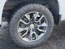 Thumbnail image of 2022 Chevrolet Silverado 1500 at Al Willeford Chevrolet New