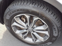 Thumbnail image of 2022 Honda CR-V at Bob Brady Auto Mall