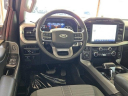Thumbnail image of 2023 Ford F-150 at Buss Ford Lincoln
