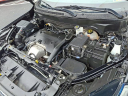 Thumbnail image of 2020 GMC Terrain at FBWC USED