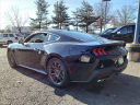 Thumbnail image of 2025 Ford Mustang at Liccardi Ford Inc