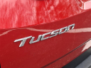 Thumbnail image of 2023 Hyundai TUCSON at Honda Of Toms River