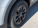 Thumbnail image of 2023 Kia Telluride at TuranFoleyUSED of Gulfport, MS