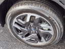 Thumbnail image of 2025 Subaru Forester at Serra Buick Gmc Champaign
