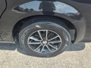 Thumbnail image of 2019 Dodge Grand Caravan at Taylor Chevrolet