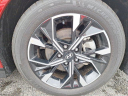 Thumbnail image of 2024 Hyundai SONATA at Ed Martin Budget Car Sales. USED