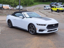 Thumbnail image of 2024 Ford Mustang at Mike Castrucci Chevrolet