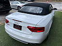 Thumbnail image of 2013 Audi S5 at Cars of Tampa Inc