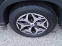 Thumbnail image of 2021 Subaru Forester at Serra Buick Gmc Champaign