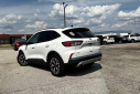 Thumbnail image of 2020 Ford Escape Hybrid at Mike Murphy Ford Inc. - New