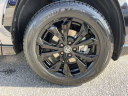 Thumbnail image of 2022 Toyota RAV4 Hybrid at New - HeywardAllenToyota