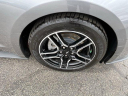 Thumbnail image of 2021 Ford Mustang at JimMladyNissan USED