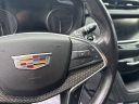 Thumbnail image of 2020 Cadillac XT5 at F C Kerbeck - New and Used