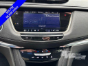 Thumbnail image of 2021 Cadillac XT5 at Burt Watson Chevrolet of Freeland