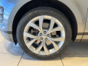 Thumbnail image of 2022 Land Rover Range Rover Evoque at Jaguar Land Rover Buffalo