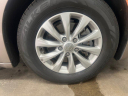 Thumbnail image of 2017 Chrysler Pacifica at Molter Auto Sales