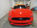 Thumbnail image of 2015 Ford Mustang at John North Ford Inc