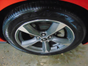 Thumbnail image of 2015 Ford Mustang at John North Ford Inc
