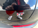 Thumbnail image of 2021 Chevrolet Trailblazer at Rockland Motors