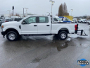 Thumbnail image of 2020 Ford F-250 Super Duty at Good Chevrolet - NEW