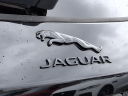 Thumbnail image of 2021 Jaguar F-PACE at Piazza Jaguar Land Rover Willow Grove