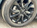 Thumbnail image of 2023 Kia Carnival at Spitzer Kia