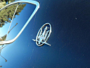 Thumbnail image of 2018 Maserati Levante at Cars On Demand