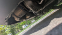 Thumbnail image of 2023 Porsche 911 at Import Masters