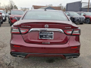 Thumbnail image of 2020 Nissan Maxima at Woodbury Nissan Inc