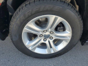 Thumbnail image of 2023 Dodge Charger at LorenzoFord-New of Homestead, FL