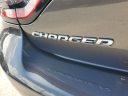 Thumbnail image of 2023 Dodge Charger at LorenzoFord-New of Homestead, FL