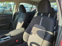 Thumbnail image of 2024 Nissan Sentra at Southern 441 Nissan