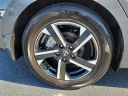 Thumbnail image of 2024 Nissan Sentra at Southern 441 Nissan