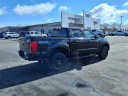 Thumbnail image of 2023 Ford Ranger at Lundeen Brothers Ford