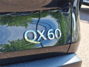 Thumbnail image of 2025 INFINITI QX60 at Infiniti of Willow Grove NF